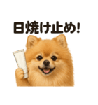 リアルでかわいい天気ポメラニアン日常生活（個別スタンプ：13）