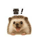 リアルでかわいい天気ハリネズミ｜日常生活（個別スタンプ：2）