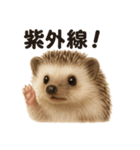 リアルでかわいい天気ハリネズミ｜日常生活（個別スタンプ：4）