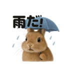 リアルでかわいい天気うさぎ｜毎日使える（個別スタンプ：5）