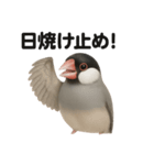 リアルでかわいい天気文鳥｜毎日使える表情（個別スタンプ：13）