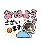 可愛いレオ君の挨拶スタンプ（個別スタンプ：1）