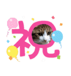 可愛いレオ君の挨拶スタンプ（個別スタンプ：9）