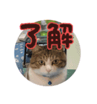 可愛いレオ君の挨拶スタンプ（個別スタンプ：21）
