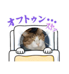 可愛いレオ君の挨拶スタンプ（個別スタンプ：31）