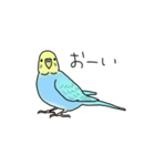 セキセイインコの可愛い1日(ブルーインボー（個別スタンプ：2）