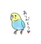 セキセイインコの可愛い1日(ブルーインボー（個別スタンプ：6）