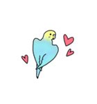 セキセイインコの可愛い1日(ブルーインボー（個別スタンプ：7）