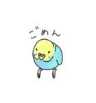 セキセイインコの可愛い1日(ブルーインボー（個別スタンプ：9）