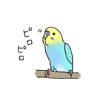 セキセイインコの可愛い1日(ブルーインボー（個別スタンプ：10）