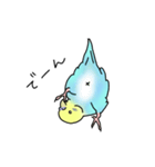 セキセイインコの可愛い1日(ブルーインボー（個別スタンプ：14）