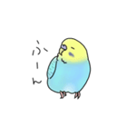 セキセイインコの可愛い1日(ブルーインボー（個別スタンプ：18）