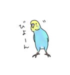 セキセイインコの可愛い1日(ブルーインボー（個別スタンプ：25）