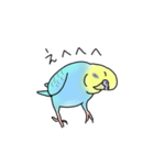 セキセイインコの可愛い1日(ブルーインボー（個別スタンプ：26）