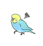 セキセイインコの可愛い1日(ブルーインボー（個別スタンプ：27）