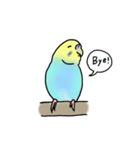 セキセイインコの可愛い1日(ブルーインボー（個別スタンプ：28）