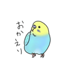 セキセイインコの可愛い1日(ブルーインボー（個別スタンプ：29）