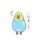 セキセイインコの可愛い1日(ブルーインボー（個別スタンプ：31）