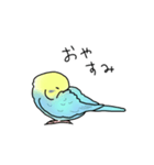 セキセイインコの可愛い1日(ブルーインボー（個別スタンプ：32）