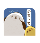 ちょっとウザいシマエナガとヒヨコ（個別スタンプ：26）
