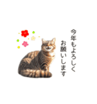 ふわふわ猫のあけおめスタンプ⭐︎2026（個別スタンプ：4）
