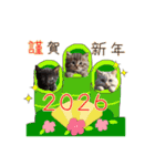 ふわふわ猫のあけおめスタンプ⭐︎2026（個別スタンプ：5）