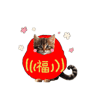ふわふわ猫のあけおめスタンプ⭐︎2026（個別スタンプ：7）