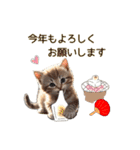 ふわふわ猫のあけおめスタンプ⭐︎2026（個別スタンプ：9）