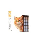 ふわふわ猫のあけおめスタンプ⭐︎2026（個別スタンプ：16）