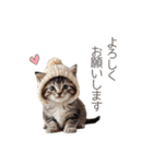 ふわふわ猫のあけおめスタンプ⭐︎2026（個別スタンプ：19）