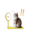 ふわふわ猫のあけおめスタンプ⭐︎2026（個別スタンプ：20）