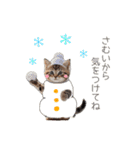 ふわふわ猫のあけおめスタンプ⭐︎2026（個別スタンプ：22）