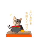 ふわふわ猫のあけおめスタンプ⭐︎2026（個別スタンプ：24）