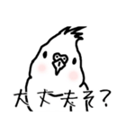 若者オカメインコ（個別スタンプ：1）