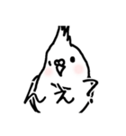 若者オカメインコ（個別スタンプ：2）