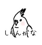 若者オカメインコ（個別スタンプ：8）