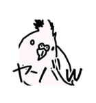 若者オカメインコ（個別スタンプ：21）