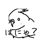 若者オカメインコ（個別スタンプ：22）