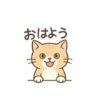 しっぽのことば（個別スタンプ：2）