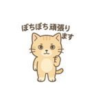 しっぽのことば（個別スタンプ：12）