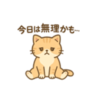 しっぽのことば（個別スタンプ：13）