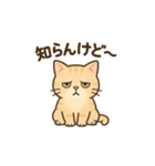 しっぽのことば（個別スタンプ：23）