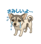 癒し系わんこ「ももちゃん」スタンプ♪（個別スタンプ：5）