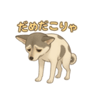 癒し系わんこ「ももちゃん」スタンプ♪（個別スタンプ：7）
