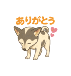癒し系わんこ「ももちゃん」スタンプ♪（個別スタンプ：15）