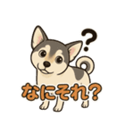 癒し系わんこ「ももちゃん」スタンプ♪（個別スタンプ：16）