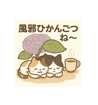 にゃ～んSticker(桜月＆ホームズ）6月（個別スタンプ：4）