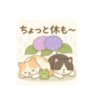 にゃ～んSticker(桜月＆ホームズ）6月（個別スタンプ：9）