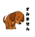 マイ・ダックス（個別スタンプ：1）