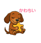 マイ・ダックス（個別スタンプ：24）